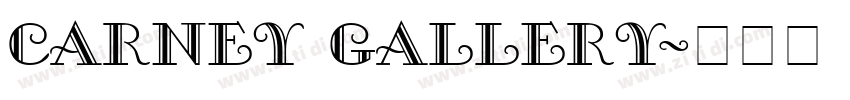 CARNEY GALLERY字体转换